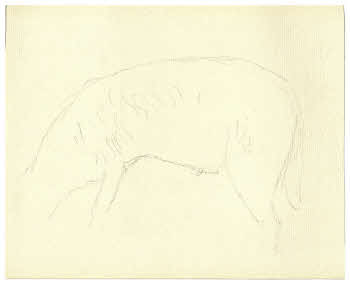 Visualizza l'immagine "FD D 243"